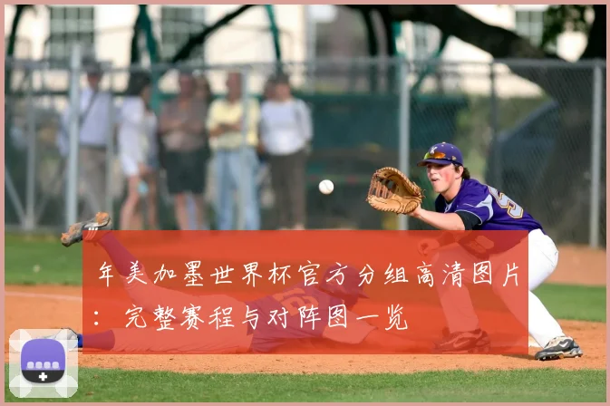 年美加墨世界杯官方分组高清图片：完整赛程与对阵图一览